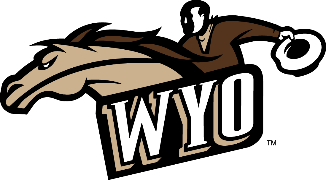 Wyoming Cowboys 1997-2006 Alternate Logo iron on transfers for T-shirts